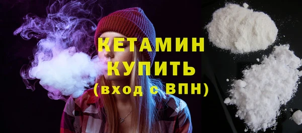 шишки Сатка