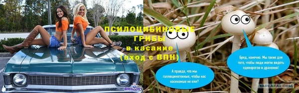 гидропоника Балахна