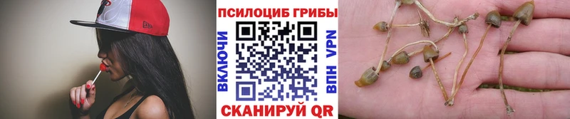 Галлюциногенные грибы прущие грибы  hydra   Тарко-Сале 